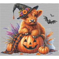 Halloween-WS 5755